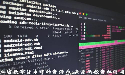 
探索加密数字货币中的资源币：未来的投资机遇与挑战