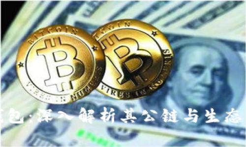 TP钱包：深入解析其公链与生态系统