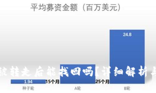 TP钱包币被转走后能找回吗？详细解析与解决方案