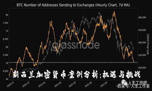 新西兰加密货币案例分析：机遇与挑战