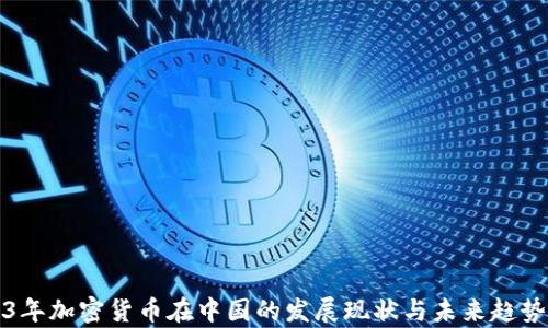 
2023年加密货币在中国的发展现状与未来趋势分析