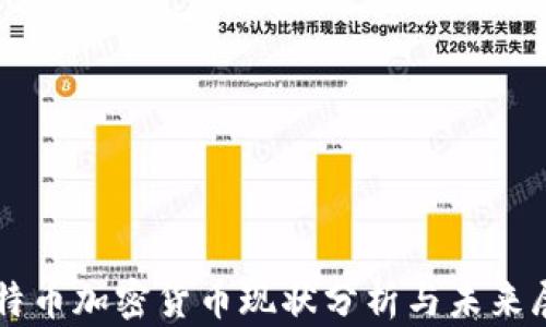 
比特币加密货币现状分析与未来展望