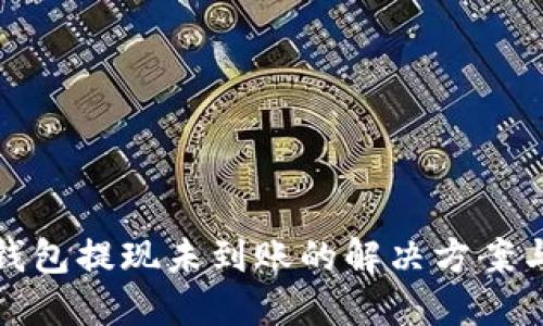 : TP钱包提现未到账的解决方案与技巧
