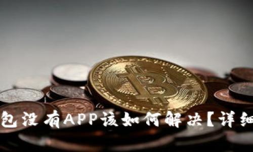 TP钱包没有APP该如何解决？详细指南