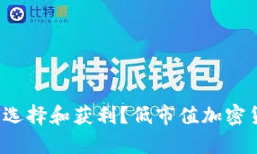 低市值加密货币投资指南：如何选择和获利？低市值加密货币投资指南：如何选择和获利？