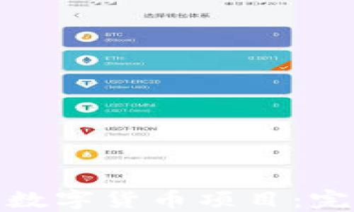 
如何选择最佳加密数字货币项目：完整指南与投资建议