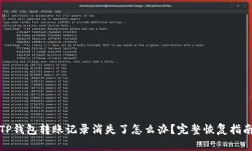 TP钱包转账记录消失了怎么办？完整恢复指南
