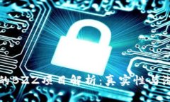 TP钱包的BZZ项目解析：真实性与潜力分析