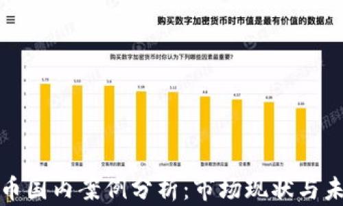 
加密货币国内案例分析：市场现状与未来发展