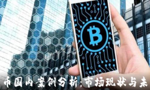 
加密货币国内案例分析：市场现状与未来发展