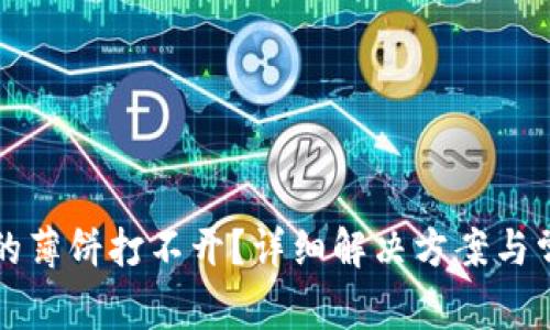 TP钱包里面的薄饼打不开？详细解决方案与常见问题解析