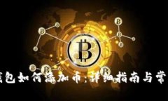 电脑版TP钱包如何添加币：详细指南与常见问题解