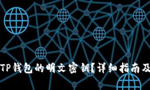 如何安全输入TP钱包的明文密钥？详细指南及常见问题解答