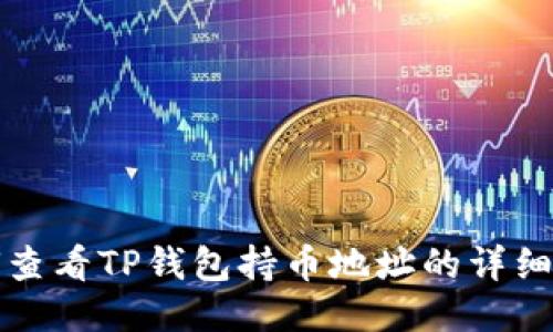 如何查看TP钱包持币地址的详细指南