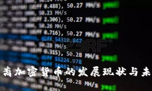 澳洲华裔加密货币的发展现状与未来趋势