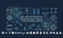 深入了解BitPay：加密数字