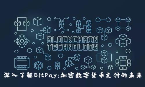 深入了解BitPay：加密数字货币支付的未来