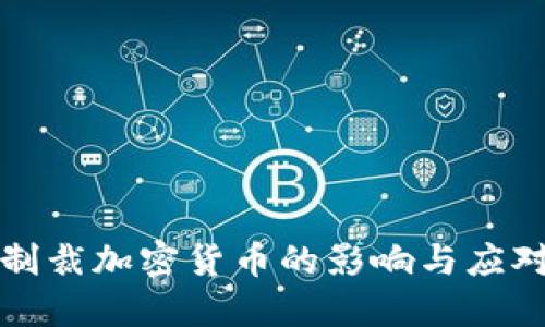 美国制裁加密货币的影响与应对策略