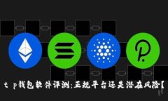 t p钱包软件评测：正规平台还是潜在风险？
