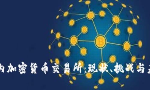 中国国内加密货币交易所：现状、挑战与未来发展