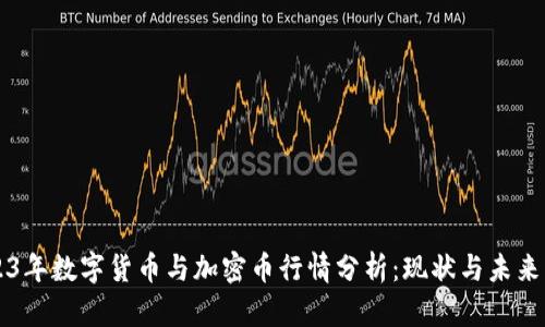 2023年数字货币与加密币行情分析：现状与未来展望