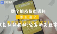 TP钱包私钥揭秘：它真的是