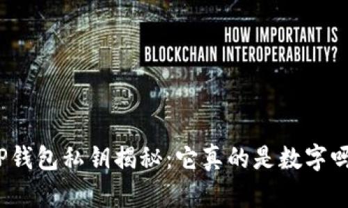 TP钱包私钥揭秘：它真的是数字吗？