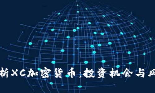 深度解析XC加密货币：投资机会与风险评估