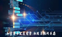  加密货币发展前景：机遇