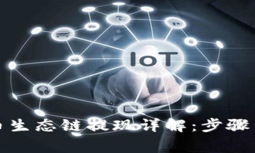 TP钱包货币生态链提现详解：步骤与注意事项