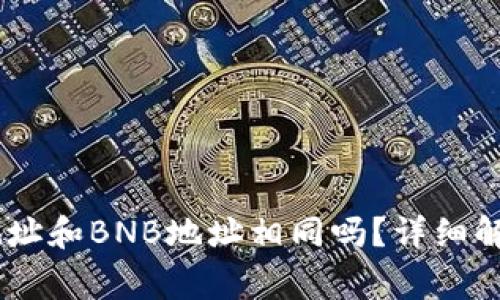 TP钱包中的USDT地址和BNB地址相同吗？详细解读与常见问题解答