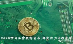 : 2020黑马加密数字货币：