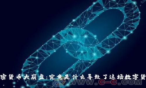 2023年加密货币大崩盘：究竟是什么导致了这场数字货币的巨变？