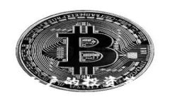 2023年加密货币大户的投资