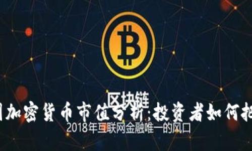 2023年美国加密货币市值分析：投资者如何把握市场脉搏