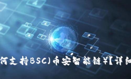 TP桌面版钱包如何支持BSC（币安智能链）？详细解析与使用指南