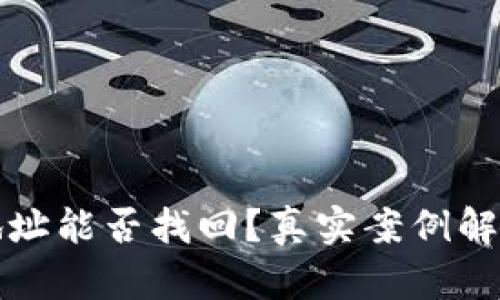 TP钱包转错地址能否找回？真实案例解析与应对技巧