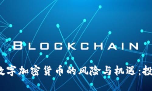 2023年数字加密货币的风险与机遇：投资者必读