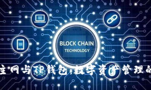 以太坊主网与TP钱包：数字资产管理的新风潮