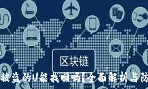   
TP钱包被盗的U能找回吗？全面解析与防护对策