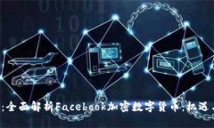 标 题：全面解析Facebook加