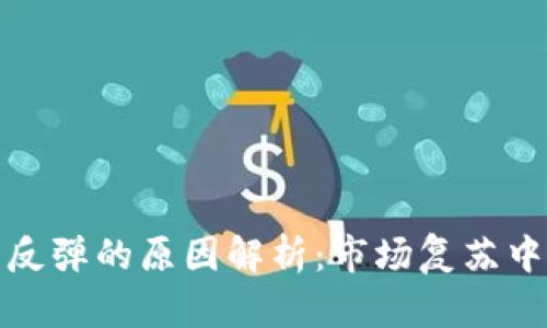 加密货币全面反弹的原因解析：市场复苏中的机遇与挑战
