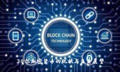 30亿加密货币的现状与未来