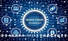 加密货币反扑机会：2024年