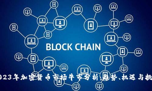 2023年加密货币市场牛市分析：趋势、机遇与挑战