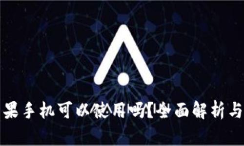 TP钱包苹果手机可以使用吗？全面解析与使用指南